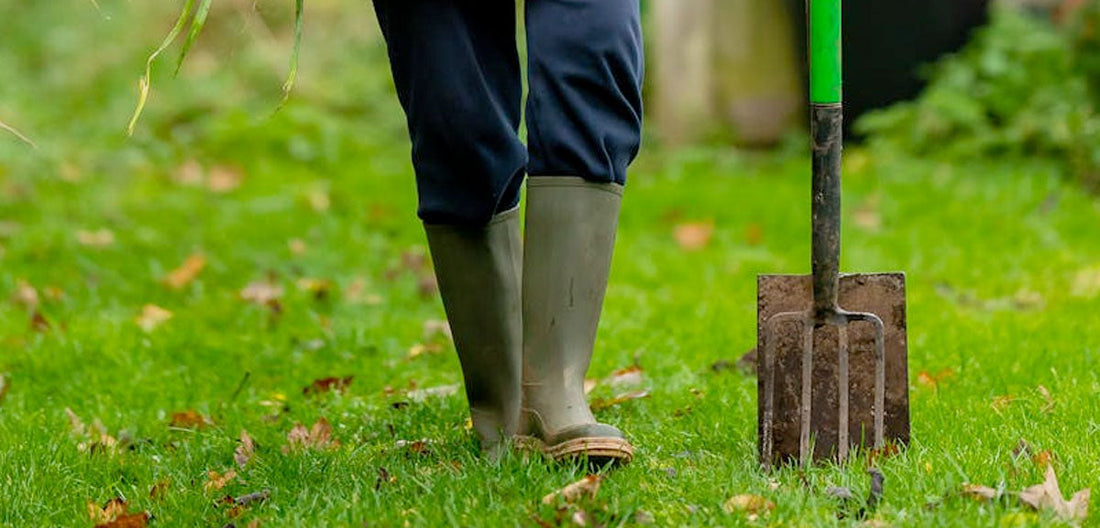 insoles for wellington boots